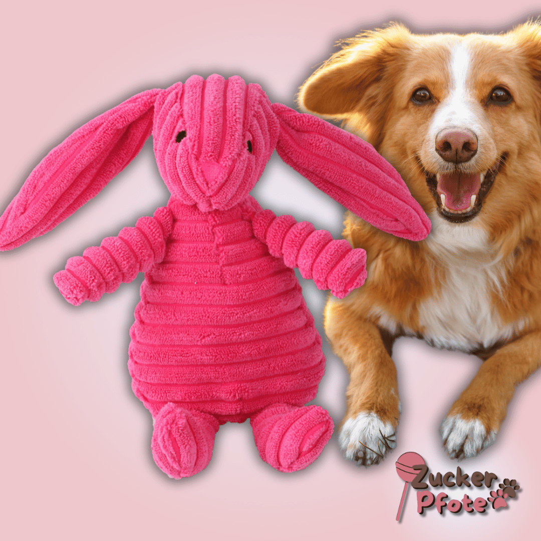 FluffyFriend Hundespielzeug – Kuscheliges Plüschtier zum Werfen, Zerren & Kuscheln