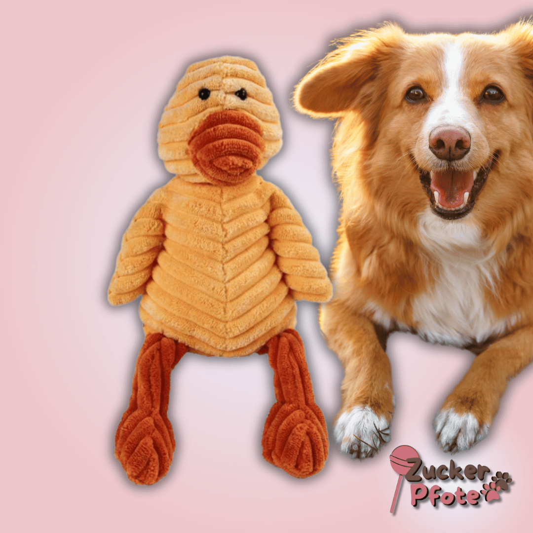 FluffyFriend Hundespielzeug – Kuscheliges Plüschtier zum Werfen, Zerren & Kuscheln