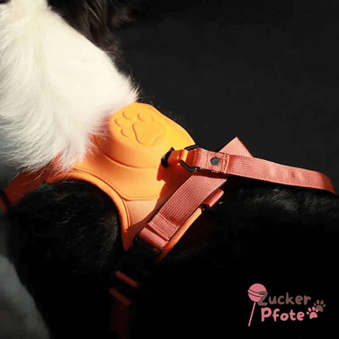 Click’n’Go Anti-Zug Hundegeschirr – 2-in-1 Geschirr für kleine & große Hunde