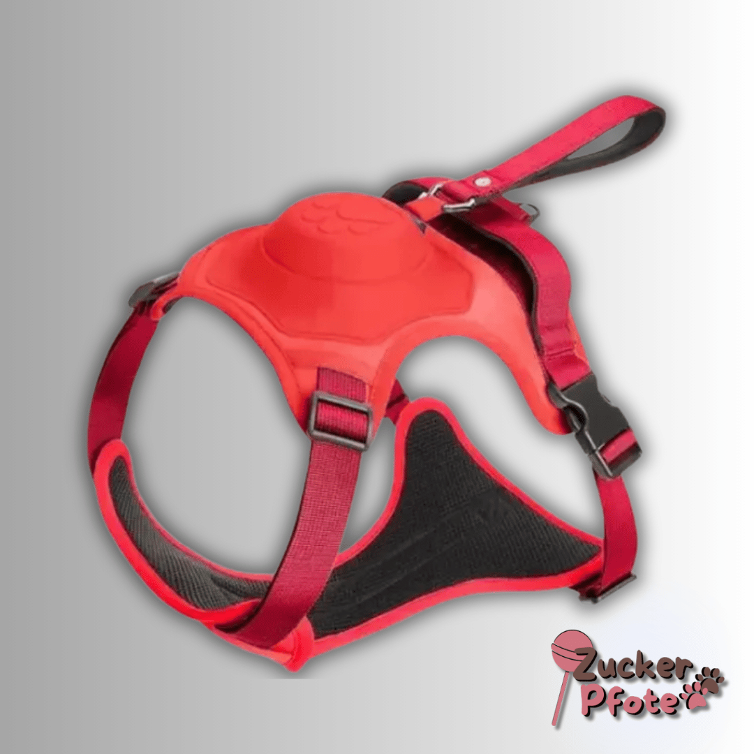 Click’n’Go Hundegeschirr – 2-in-1 Geschirr für kleine & große Hunde