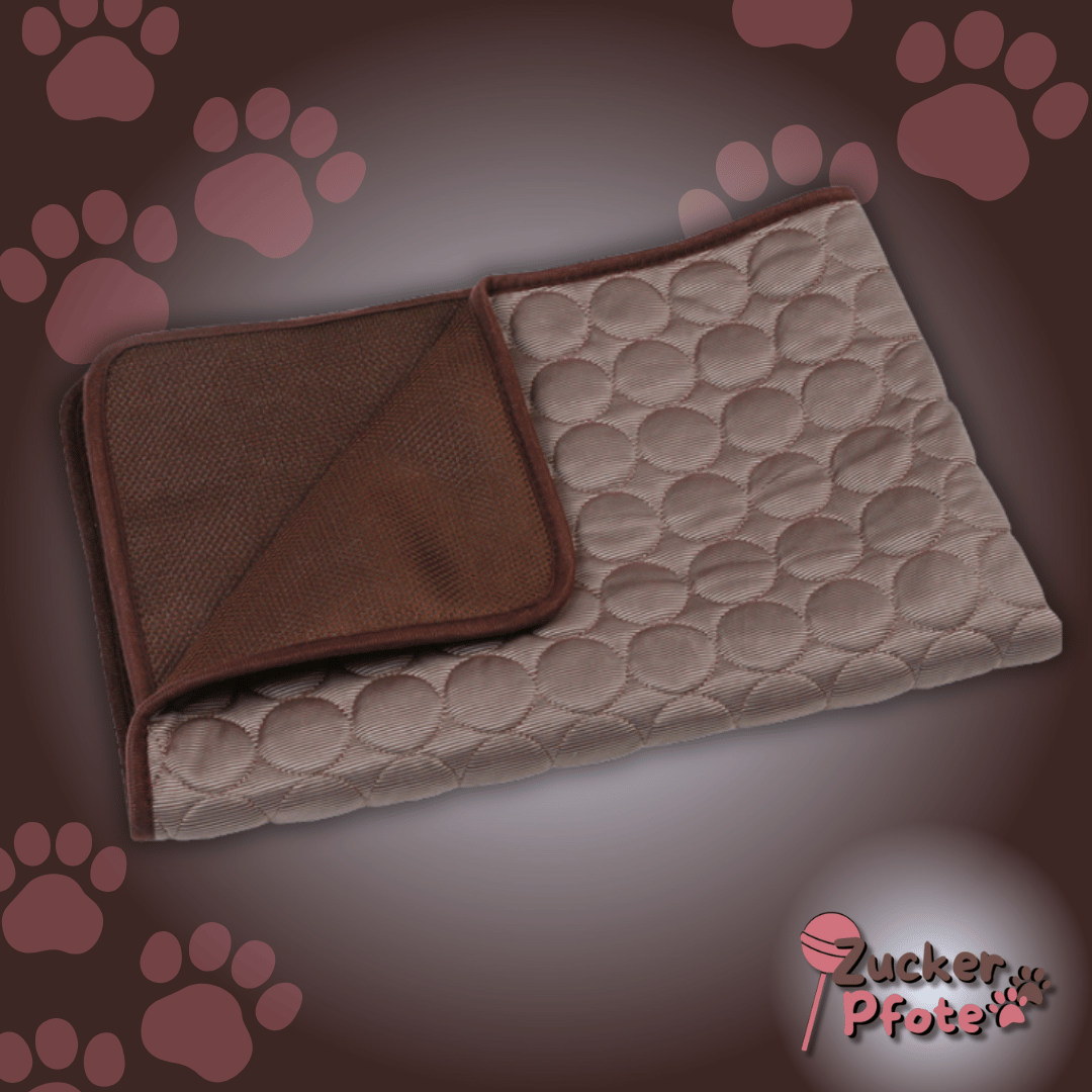 PawCool – Selbstkühlende Kühlmatte für Hunde & Katzen, perfekt für den Sommer
