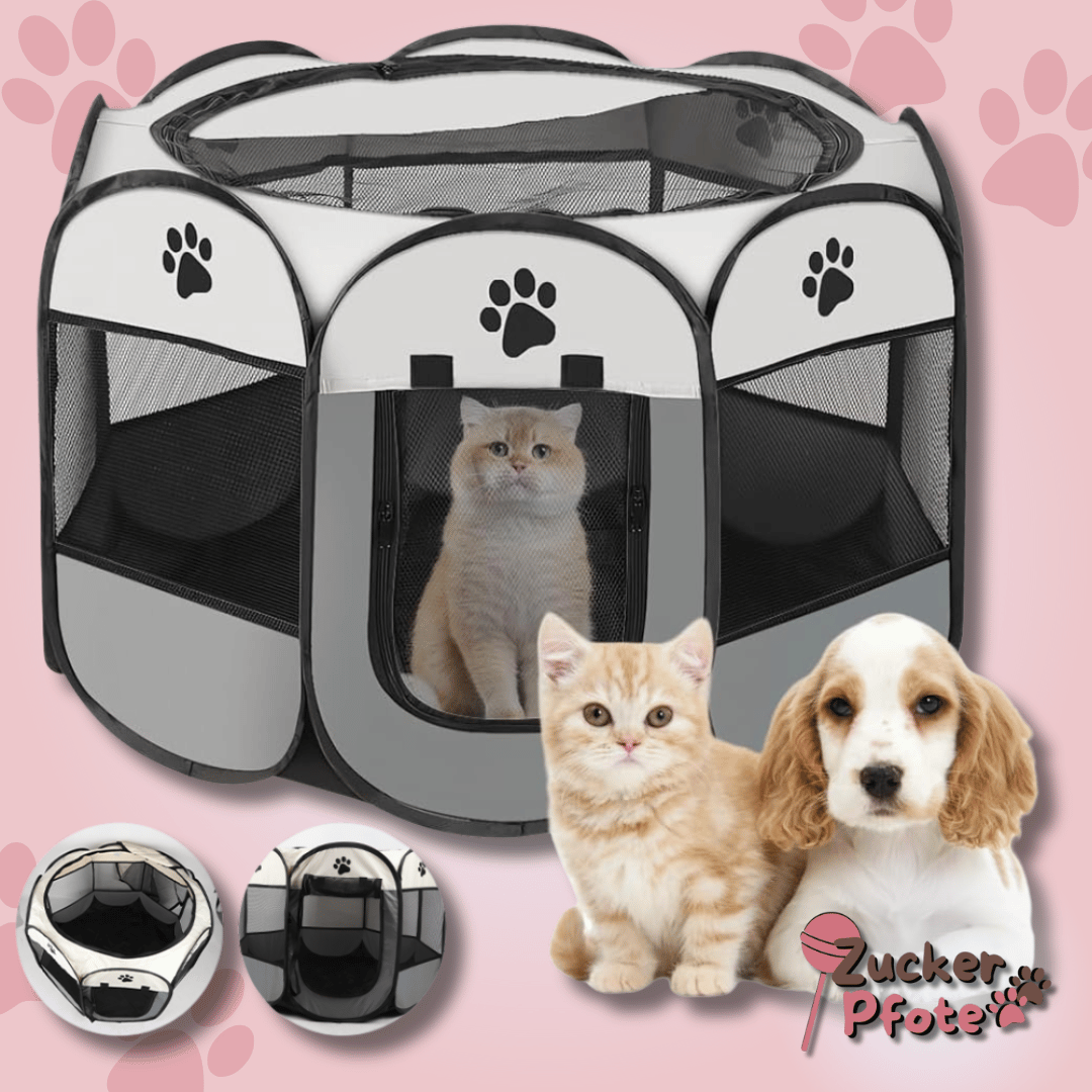 PetPalace Haustierzelt für Hunde & Katzen – Faltbares Tierhaus für drinnen & draußen