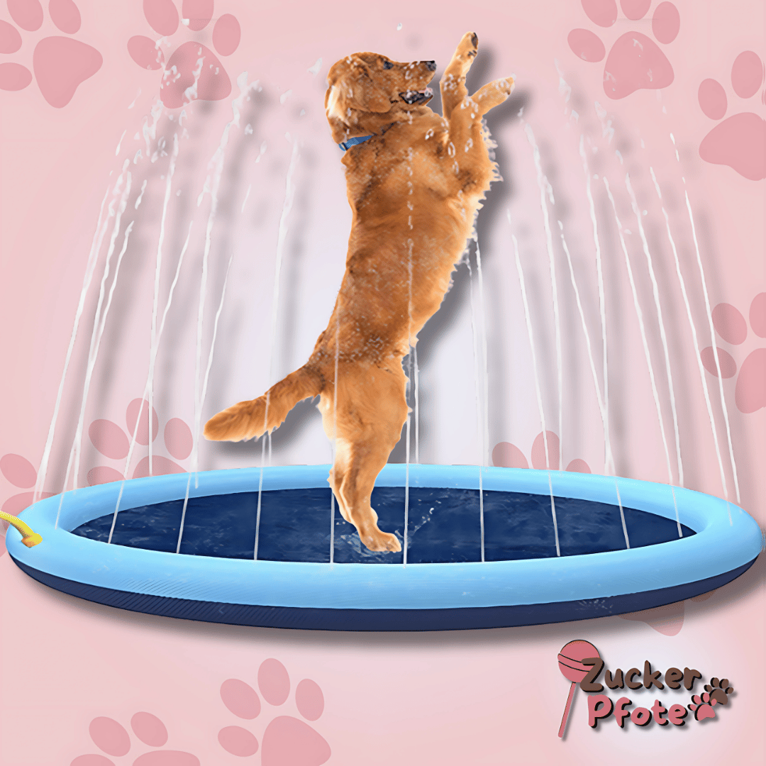PawSplash Hunde-Splashpad – Faltbares Sprinklerpad für den Sommer
