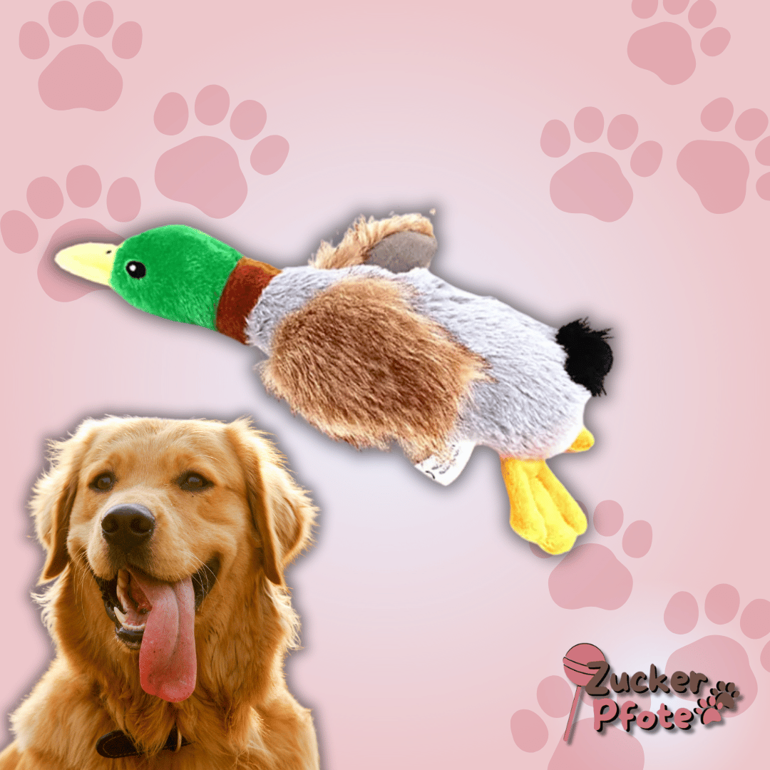 QuackBuddy Hundespielzeug – Quietschende Ente mit Knisterflügeln für langanhaltenden Spielspaß
