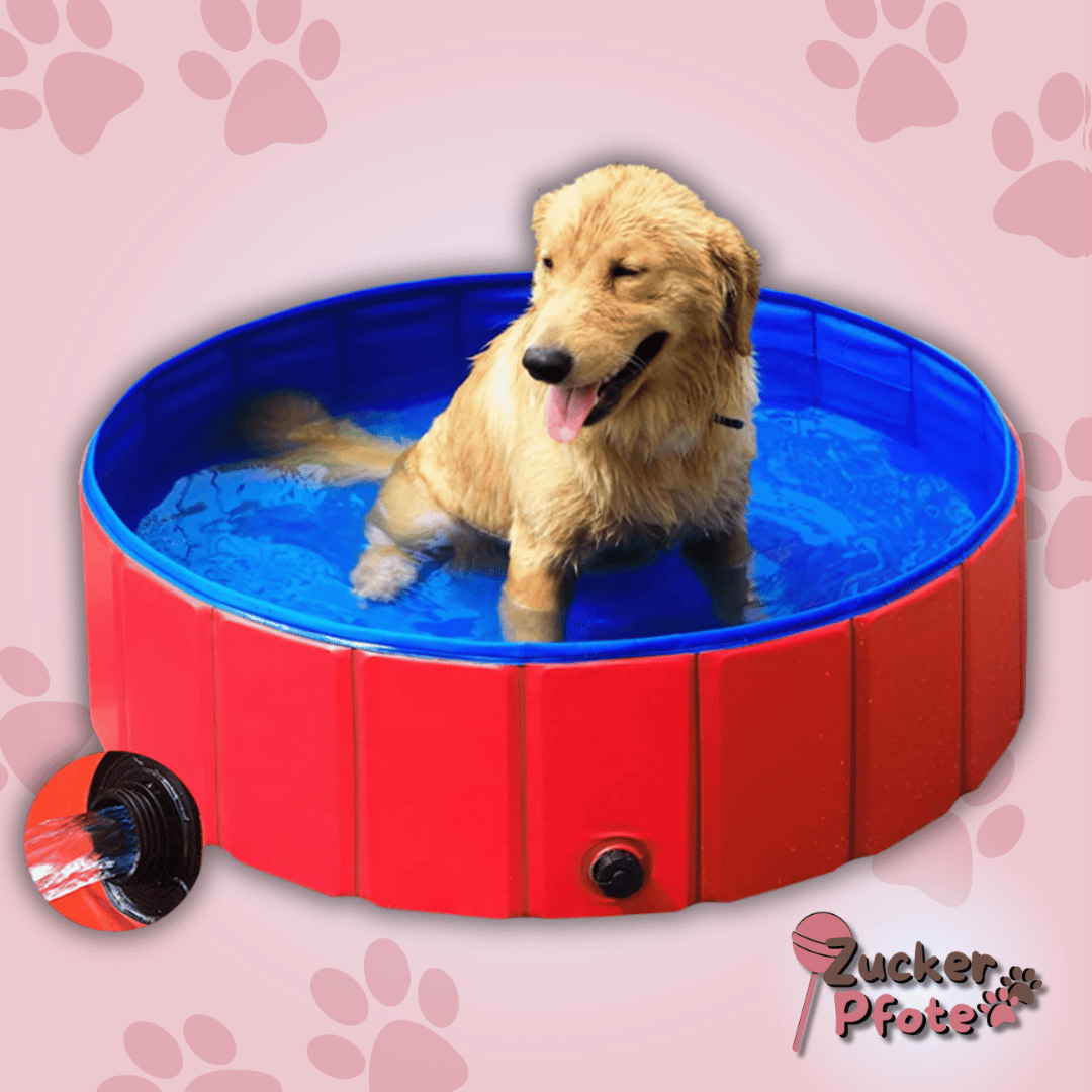 PawPool – Faltbarer Hundepool mit Ablassventil – 3 Größen für kleine & große Hunde