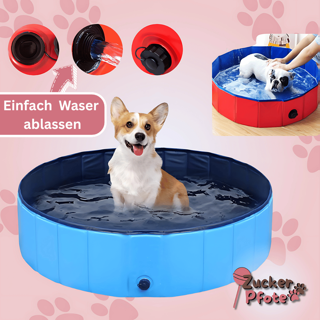PawPool – Faltbarer Hundepool mit Ablassventil – 3 Größen für kleine & große Hunde