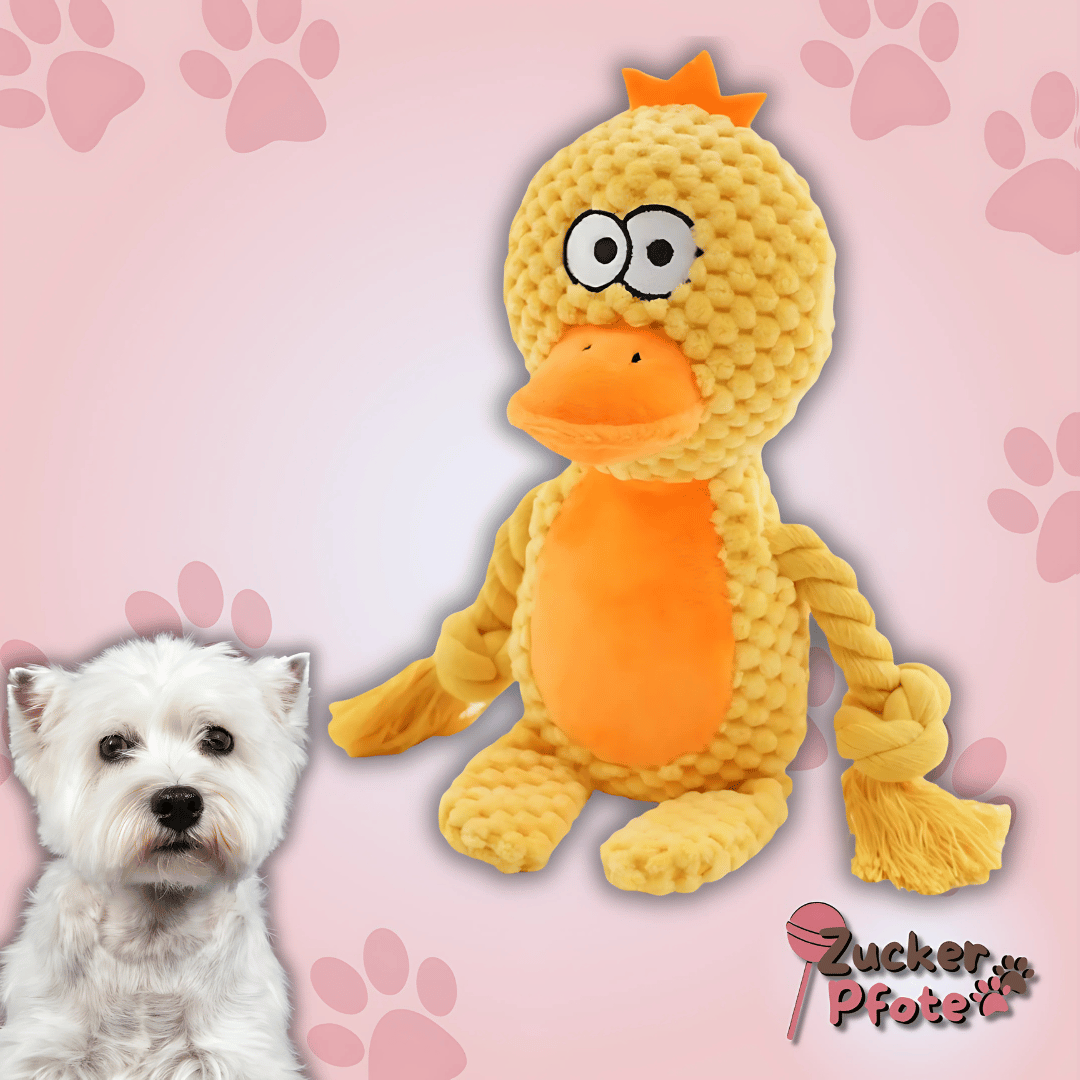 PawPlush - Plüsch Hundespielzeug mit Quietscher