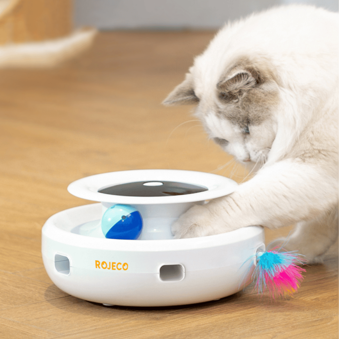 KittyFun Katzenspielzeug – Interaktives Spiel mit rotierender Feder