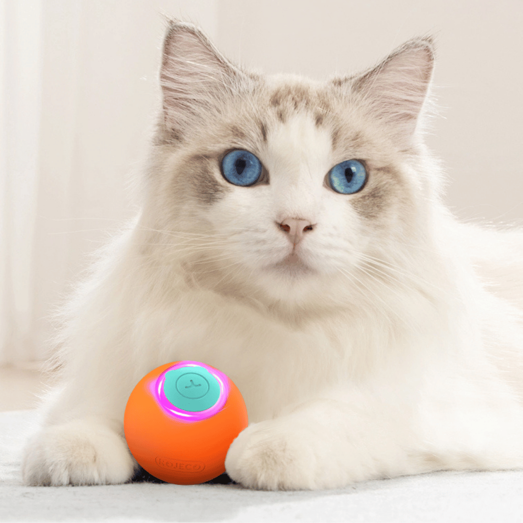 JoyBall Interaktives Katzenspielzeug – Selbstrollender Ball mit LED-Licht