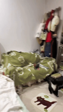 The Official - Flappy Bird