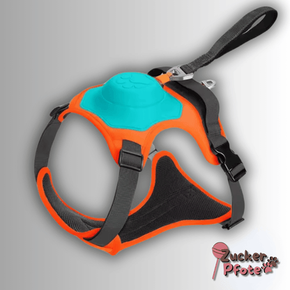 Click’n’Go Hundegeschirr – 2-in-1 Geschirr für kleine & große Hunde
