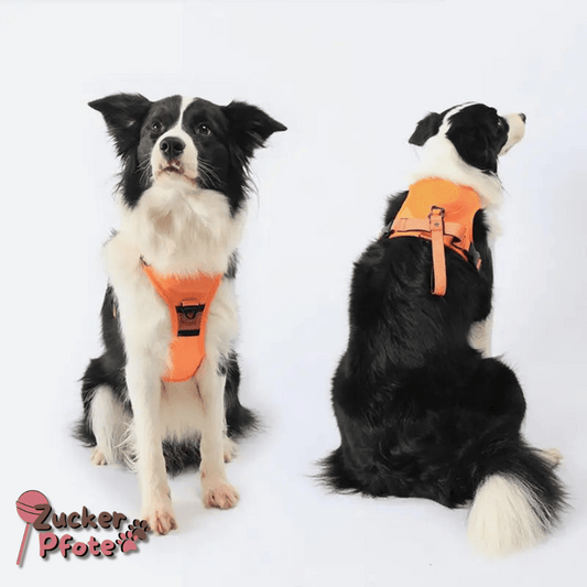 Click’n’Go Anti-Zug Hundegeschirr – 2-in-1 Geschirr für kleine & große Hunde