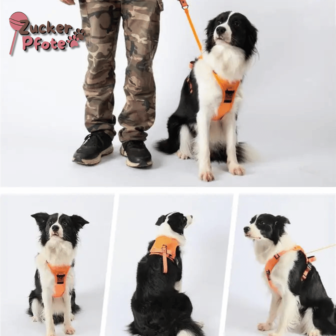 Click’n’Go Anti-Zug Hundegeschirr – 2-in-1 Geschirr für kleine & große Hunde