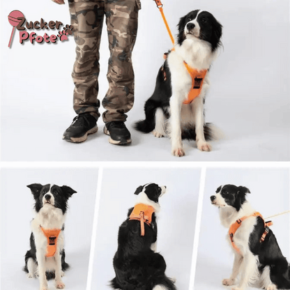 Click’n’Go Anti-Zug Hundegeschirr – 2-in-1 Geschirr für kleine & große Hunde