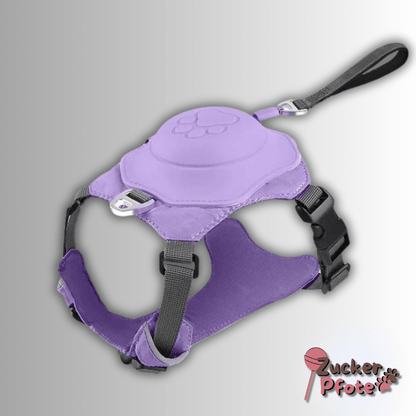 Click’n’Go Hundegeschirr – 2-in-1 Geschirr für kleine & große Hunde