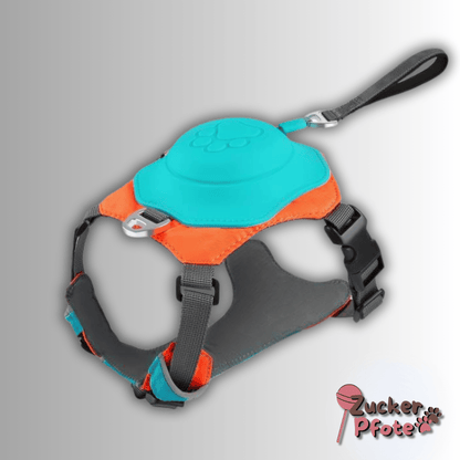 Click’n’Go Hundegeschirr – 2-in-1 Geschirr für kleine & große Hunde