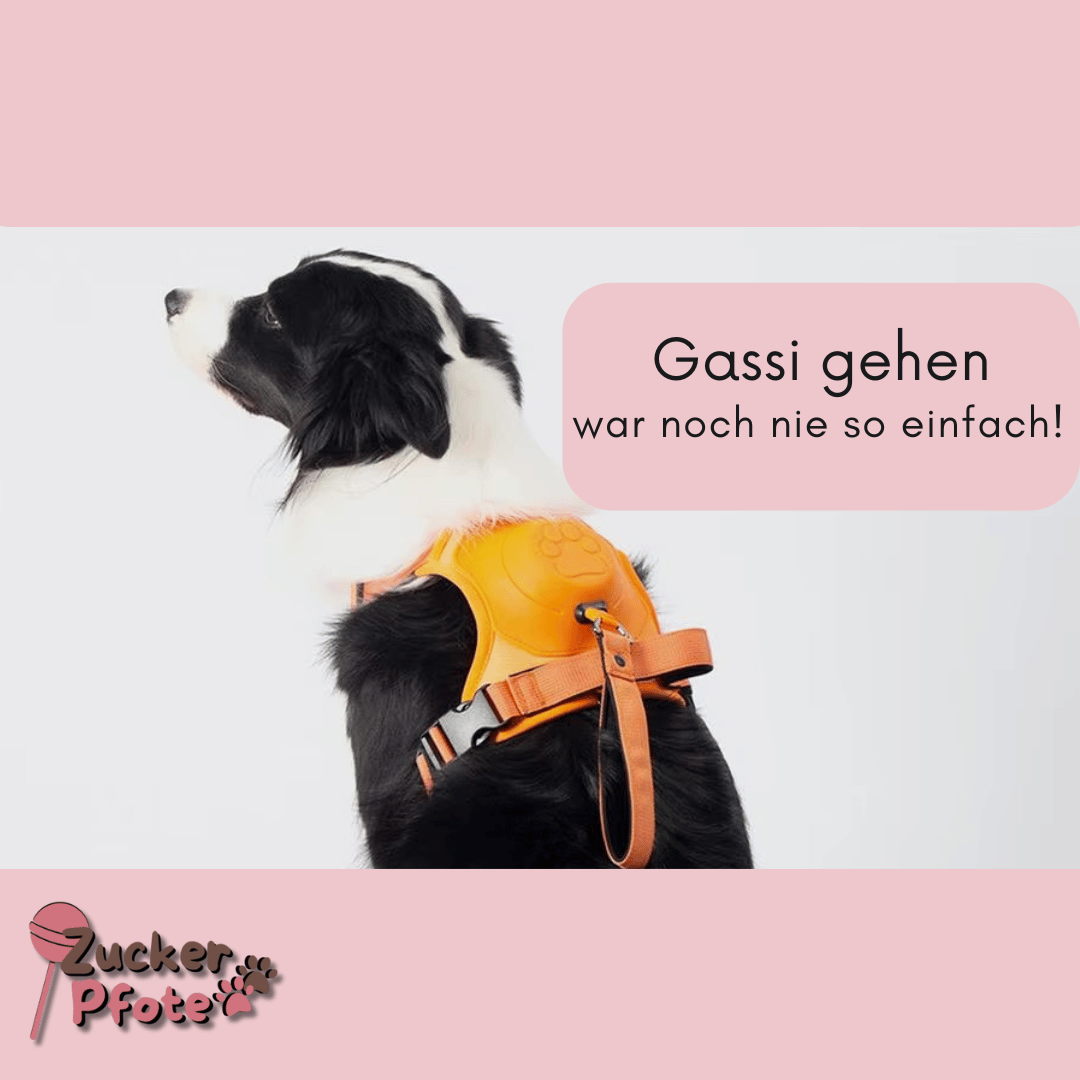 Click’n’Go Anti-Zug Hundegeschirr – 2-in-1 Geschirr für kleine & große Hunde