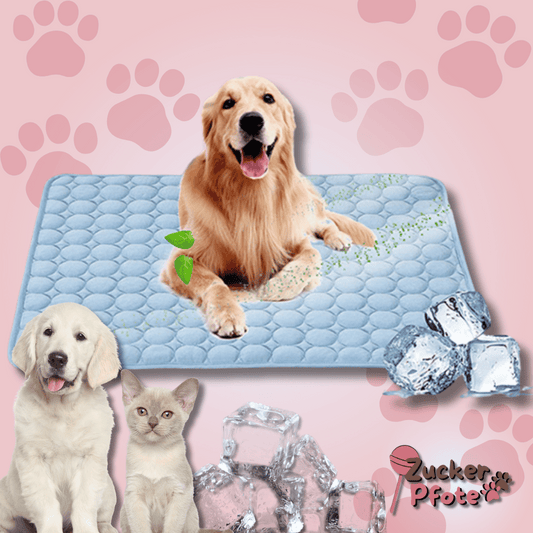 PawCool – Selbstkühlende Kühlmatte für Hunde & Katzen, perfekt für den Sommer