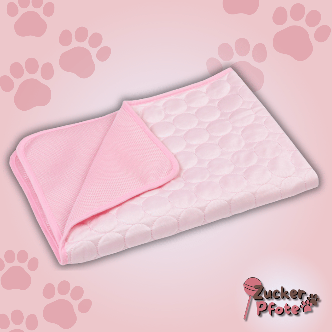 PawCool – Selbstkühlende Kühlmatte für Hunde & Katzen, perfekt für den Sommer