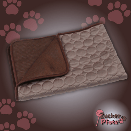 PawCool – Selbstkühlende Kühlmatte für Hunde & Katzen, perfekt für den Sommer
