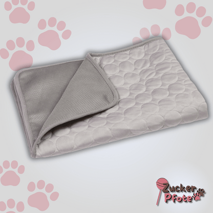 PawCool – Selbstkühlende Kühlmatte für Hunde & Katzen, perfekt für den Sommer