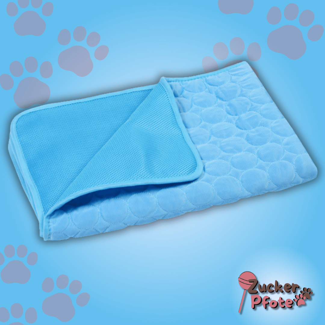 PawCool – Selbstkühlende Kühlmatte für Hunde & Katzen, perfekt für den Sommer