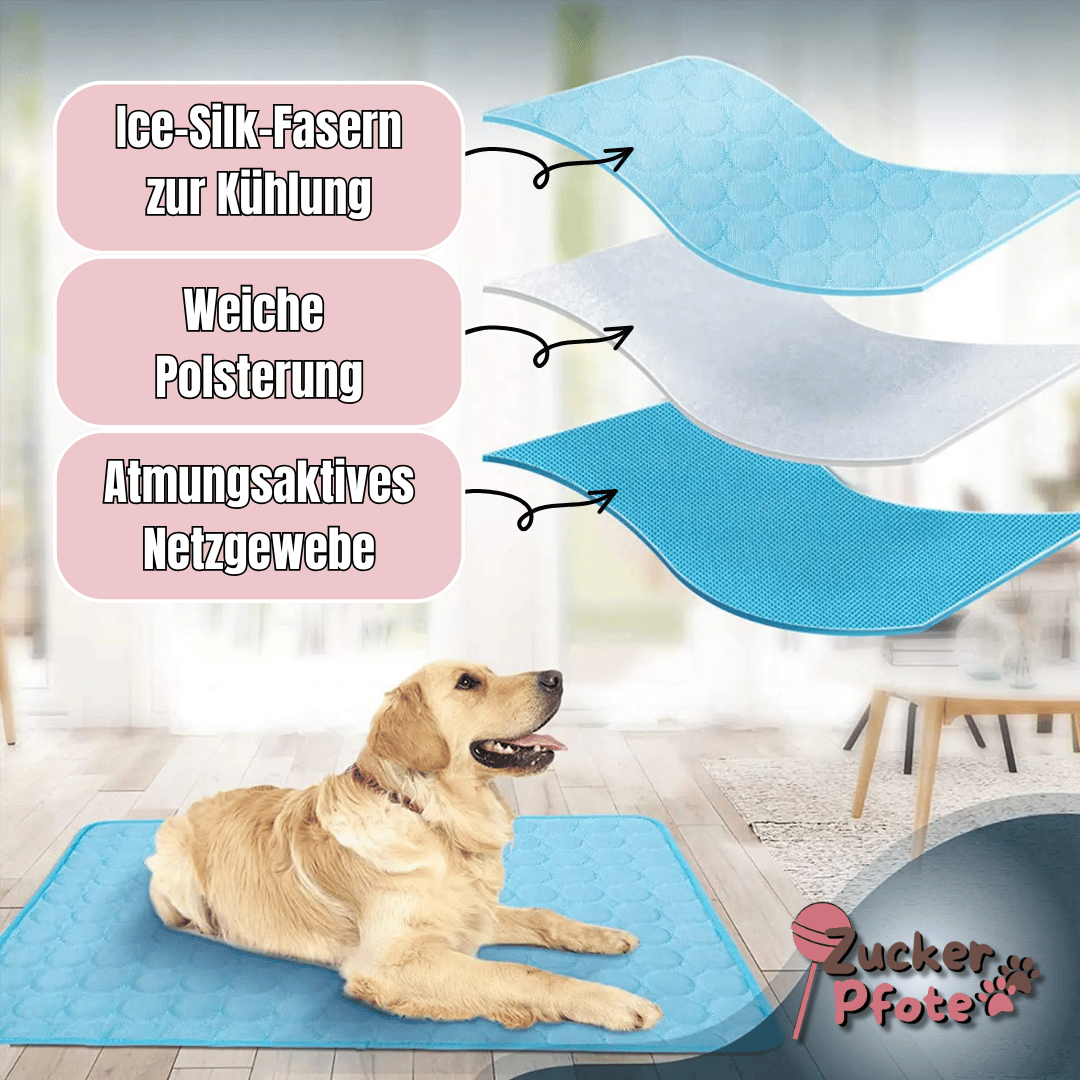 PawCool – Selbstkühlende Kühlmatte für Hunde & Katzen, perfekt für den Sommer