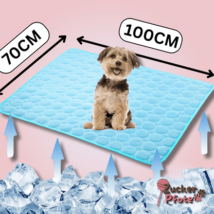 PawCool – Selbstkühlende Kühlmatte für Hunde & Katzen, perfekt für den Sommer