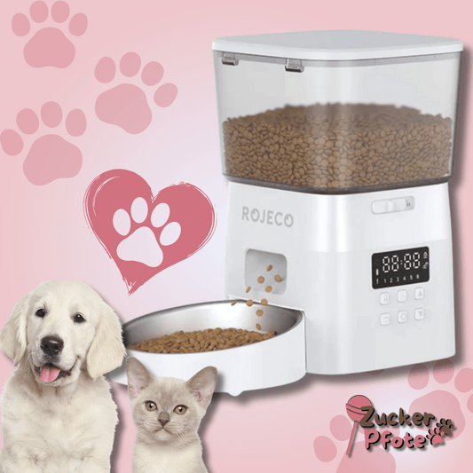 FeedSmart Futterautomat – Automatischer Futterspender für Katzen & kleine Hunde