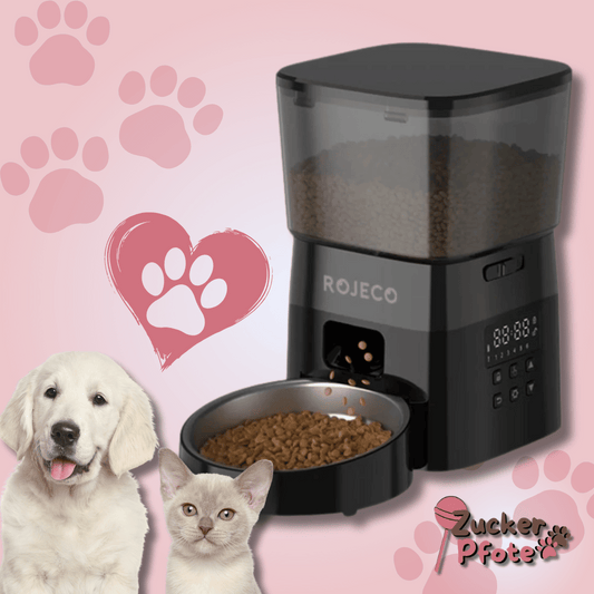 FeedSmart Futterautomat – Automatischer Futterspender für Katzen & kleine Hunde