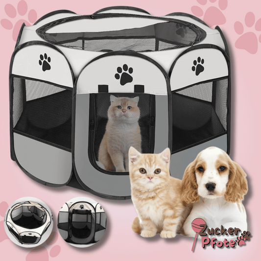 PetPalace Haustierzelt für Hunde & Katzen – Faltbares Tierhaus für drinnen & draußen