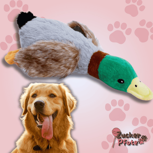 QuackBuddy Hundespielzeug – Quietschende Ente mit Knisterflügeln für langanhaltenden Spielspaß