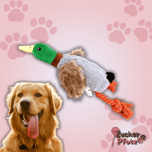 QuackBuddy Hundespielzeug – Quietschende Ente mit Knisterflügeln für langanhaltenden Spielspaß