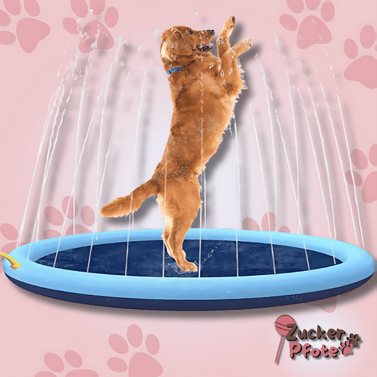 PawSplash Hunde-Splashpad – Faltbares Sprinklerpad für den Sommer