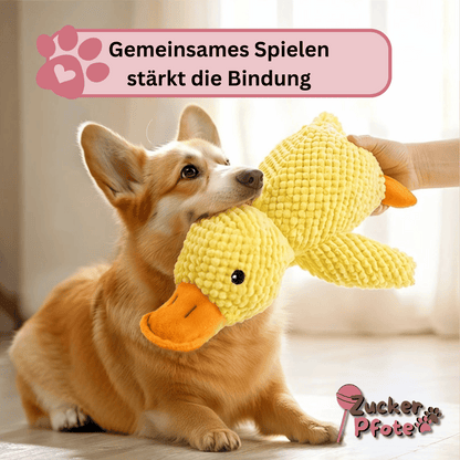 MisterQuack - Die Anti-Stress-Ente für Hunde