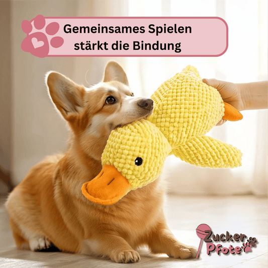 MisterQuack - Die Anti-Stress-Ente für Hunde