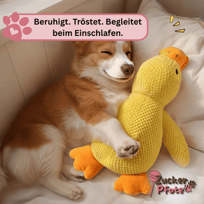 MisterQuack - Die Anti-Stress-Ente für Hunde