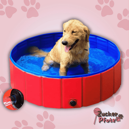 PawPool – Faltbarer Hundepool mit Ablassventil – 3 Größen für kleine & große Hunde