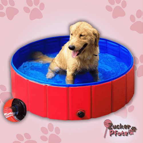 PawPool – Faltbarer Hundepool mit Ablassventil – 3 Größen für kleine & große Hunde