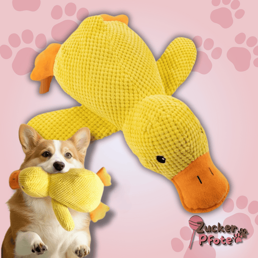 MisterQuack - Die Anti-Stress-Ente für Hunde