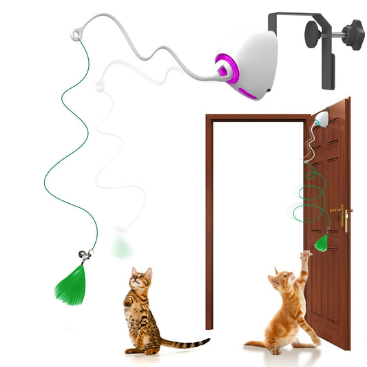 CatCatcher